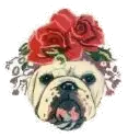 The Dog