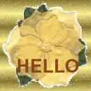 hello