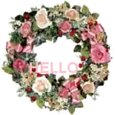 Hello