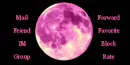 Pink Moon