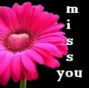 miss you