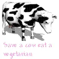 SAVE A COW