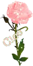 Cloe