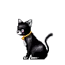 magical cat girl