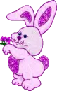 cute bunny