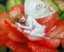 sleeping butterfly
