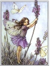 butterfly faery