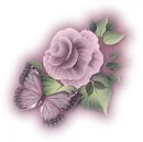 butterfly&rose