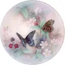 butterflys