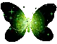 Green and Black Butterfly
