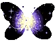 Purple and Black Butterfly