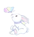 butterfly&bunny