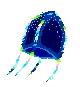 Electric jelly