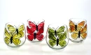 butterfly in glasses