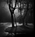 rainy