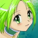 Lettuce