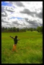 meadow
