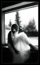 alone in the window