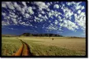 down the road