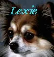Lexie Animation