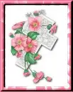 Pink Flowers