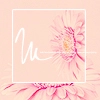 Pink Flowers