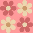 Pink Flowers