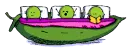 Peas in a pod