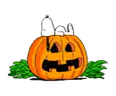 THe Great Pumpkin