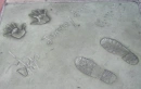 Close up of Johnny Depp Cement Imprint