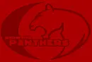 Redmond Panthers!