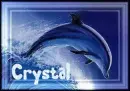 dolphin for crystal