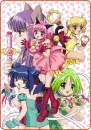 tokyo mew mew
