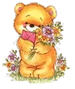teddy
