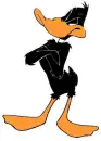 daffy
