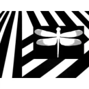 Black and White Dragonfly