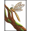 Dragonfly Branch