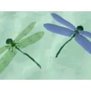Dragonfly Friendship Art