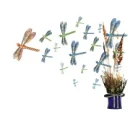 Dragonfly Swarm