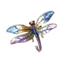 Dragonfly Mess