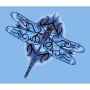 Electric Blue Dragonfly
