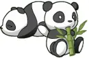 pandas
