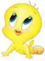 Tweety