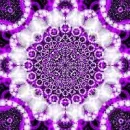 purple trip