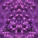 purple royal