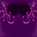 purple spectacle