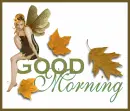 Good Morning Fairy