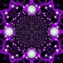purple pearl flower