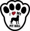 i love my pit bull