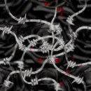 Barbed Wire Background
